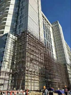 實力證明,泰爾美優(yōu)質產品走出國門遠銷海外!